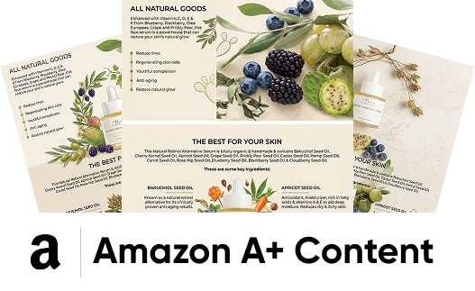 Amazon A+ Content product page layout with book and brand modules